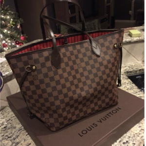 Louis Vuitton Neverfull MM in Damier Ebene canvas